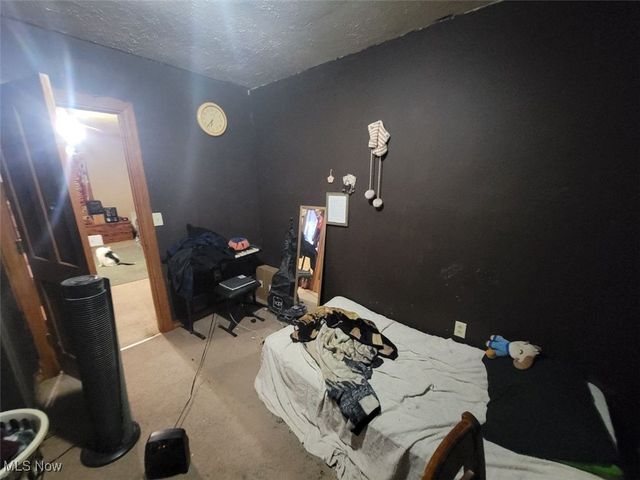 7836 Ninevah Road, Geneva, OH 44041