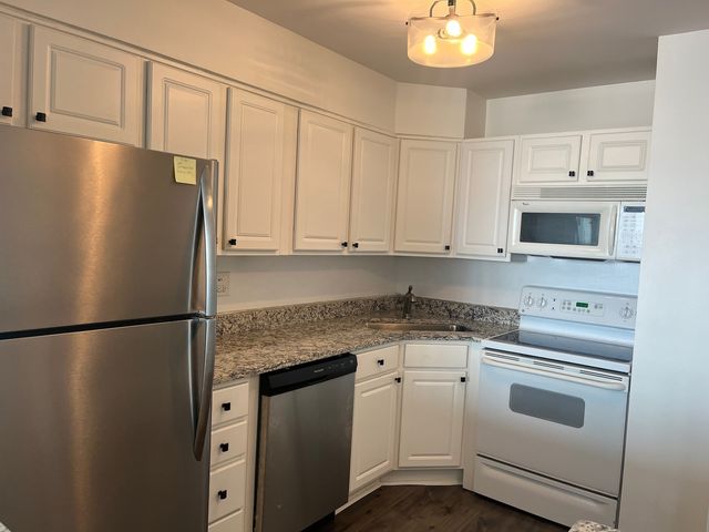 1560 N Sandburg Terrace 1409J, Chicago, IL 60610