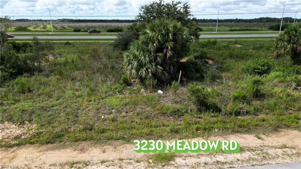 3230 Meadow RD, LEHIGH ACRES, FL 33974 — photo 3