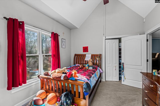 18 Saddleback Ledge Court, Irmo, SC 29063