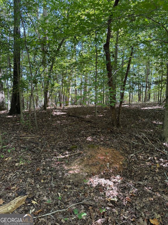 6225 Tennis Drive, Fairburn, GA 30213 — photo 4