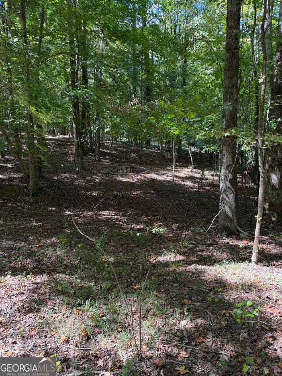 6225 Tennis Drive, Fairburn, GA 30213 — photo 5