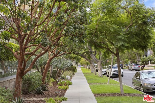 450 N Palm Drive 507, Beverly Hills, CA 90210