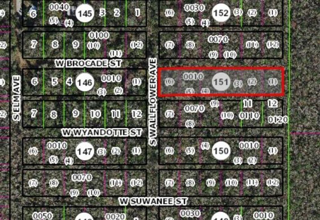 10006 W BROCADE STREET, Homosassa, FL 34448