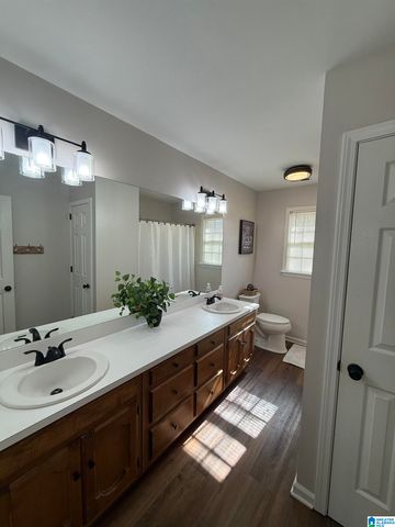 3047 SKYLARK CIRCLE, Hoover, AL 35244