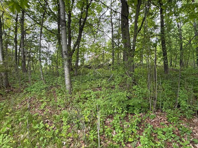 121 W Buffalo Street, Duluth, MN 55811