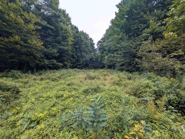 187 East Hill Road, Woodbury, VT 05681