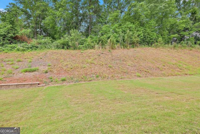 205 Farrell Creek Drive, Senoia, GA 30276