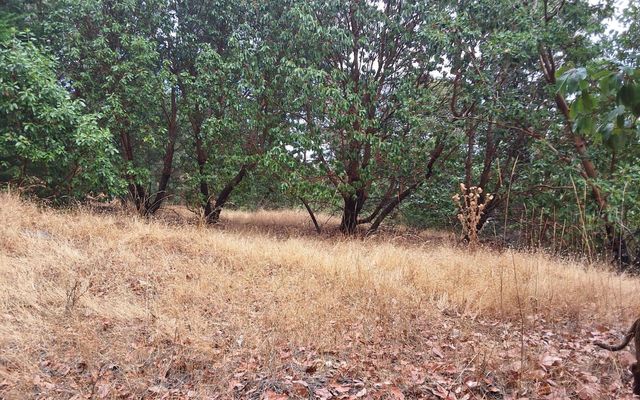 Galls Cr Road 301, Central Point, OR 97502
