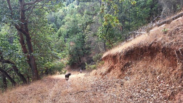 Galls Cr Road 301, Central Point, OR 97502