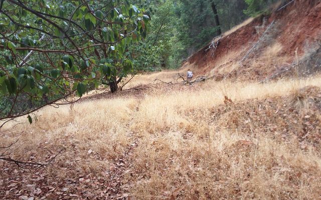 Galls Cr Road 301, Central Point, OR 97502