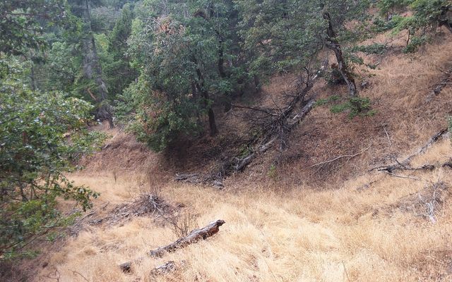 Galls Cr Road 301, Central Point, OR 97502