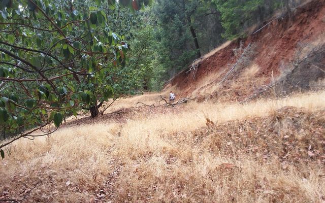 Galls Cr Road 301, Central Point, OR 97502