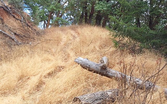 Galls Cr Road 301, Central Point, OR 97502