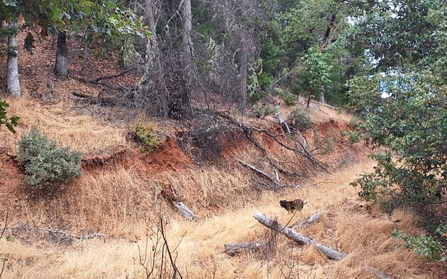Galls Cr Road 301, Central Point, OR 97502