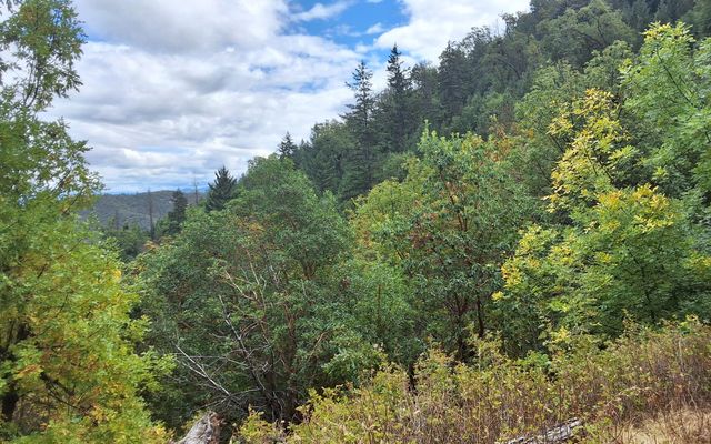 Galls Cr Road 301, Central Point, OR 97502