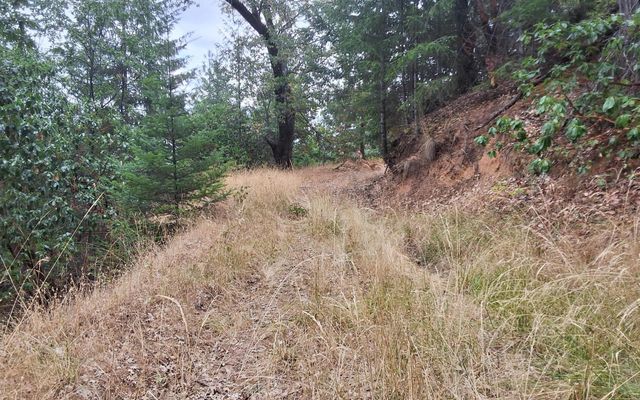 Galls Cr Road 301, Central Point, OR 97502
