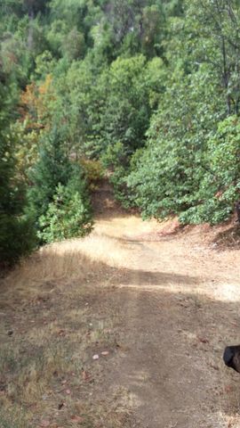 Galls Cr Road 301, Central Point, OR 97502