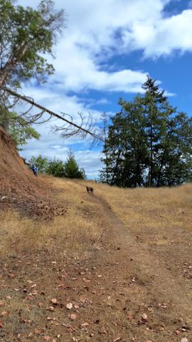 Galls Cr Road 301, Central Point, OR 97502