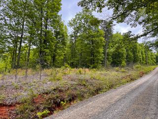 Lot 4 Shortcut DR, Woolwine, VA 24185