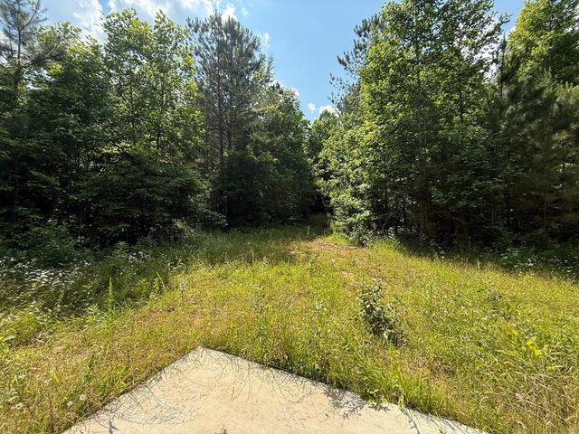 668 Joines Rd, Smithville, TN 37166