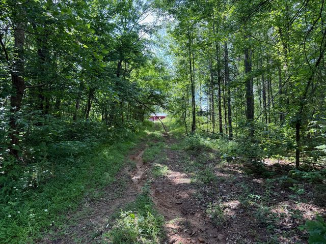 668 Joines Rd, Smithville, TN 37166