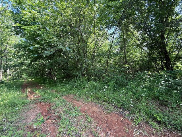 668 Joines Rd, Smithville, TN 37166