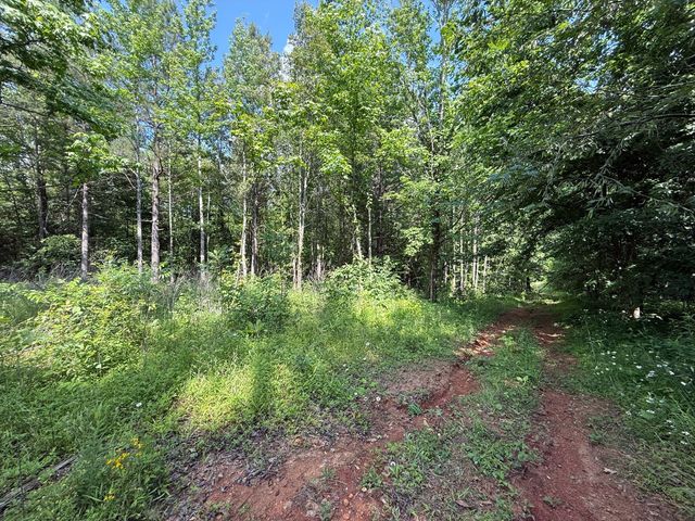 668 Joines Rd, Smithville, TN 37166