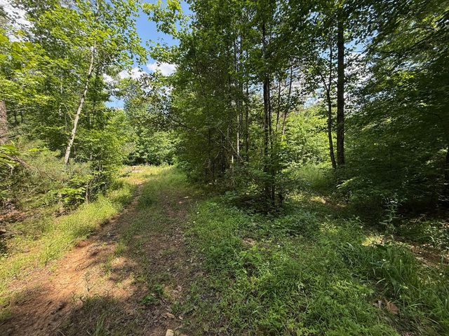 668 Joines Rd, Smithville, TN 37166