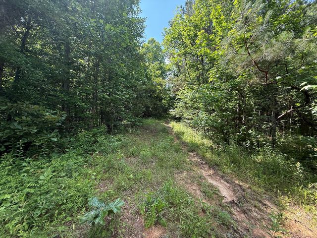 668 Joines Rd, Smithville, TN 37166