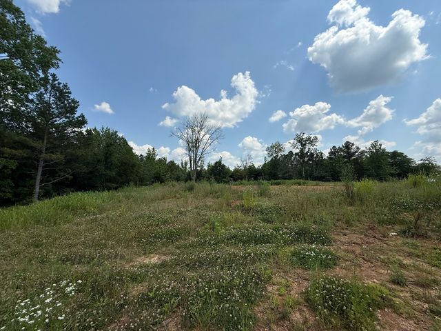 668 Joines Rd, Smithville, TN 37166