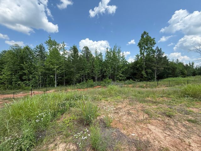 668 Joines Rd, Smithville, TN 37166