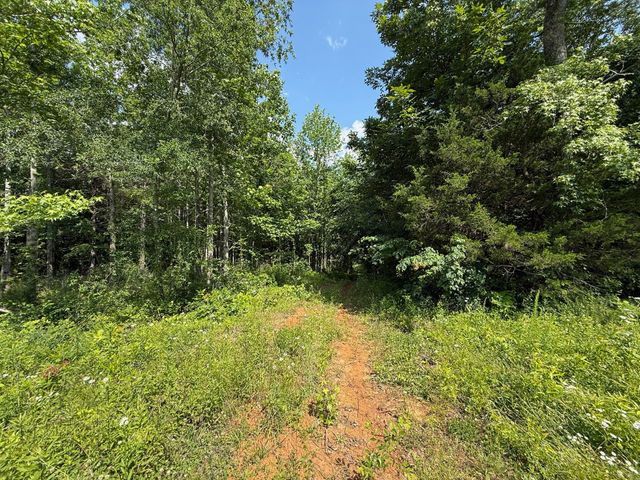 668 Joines Rd, Smithville, TN 37166