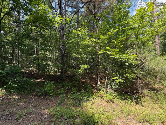 668 Joines Rd, Smithville, TN 37166