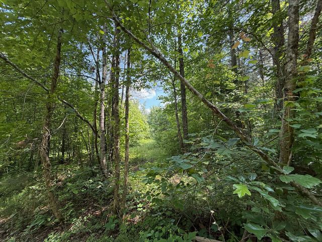 668 Joines Rd, Smithville, TN 37166