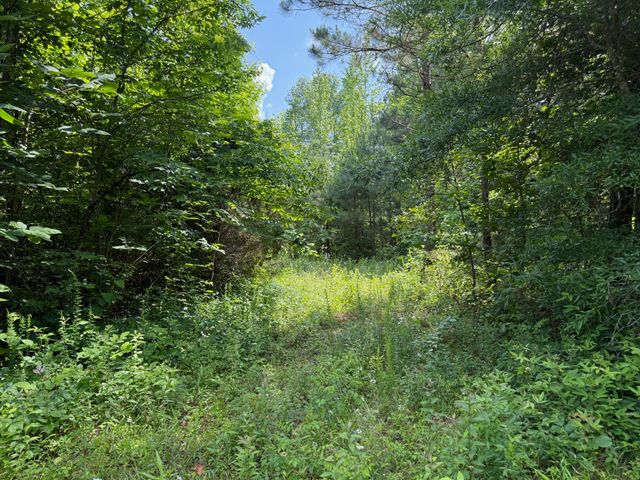 668 Joines Rd, Smithville, TN 37166