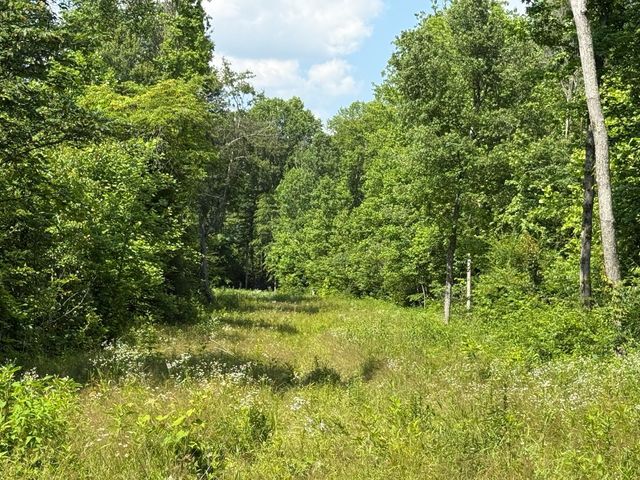 668 Joines Rd, Smithville, TN 37166