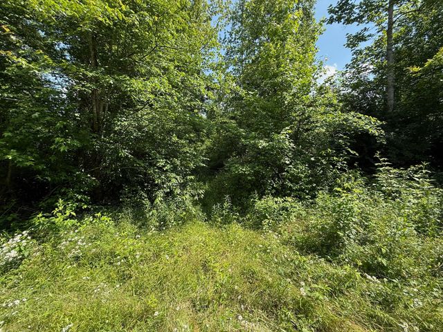 668 Joines Rd, Smithville, TN 37166