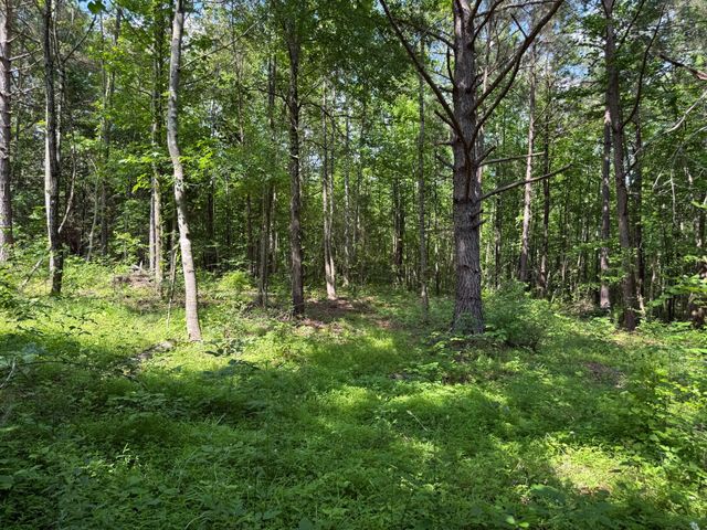 668 Joines Rd, Smithville, TN 37166