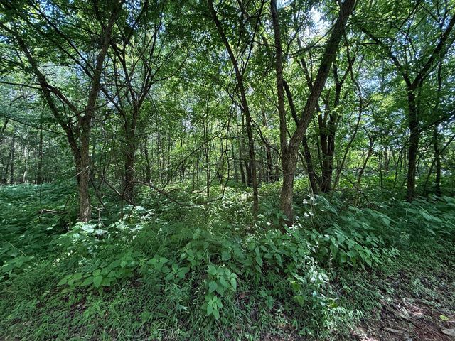 668 Joines Rd, Smithville, TN 37166