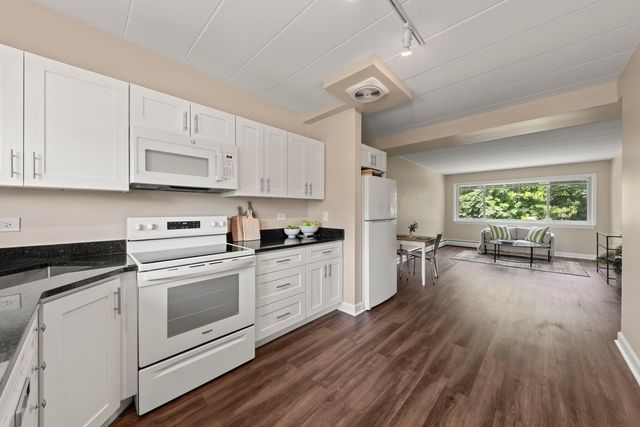 1307 College Avenue 207, Wheaton, IL 60187