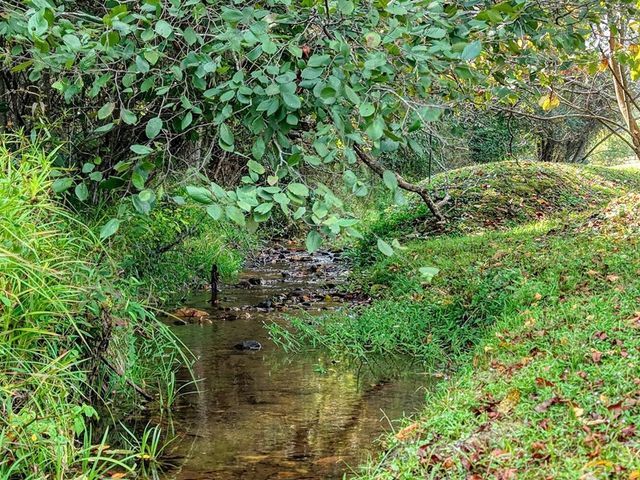 Lt 40 Pleasant Meadows, Blairsville, GA 30512