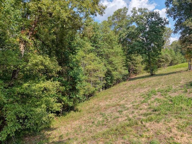 Lt 40 Pleasant Meadows, Blairsville, GA 30512