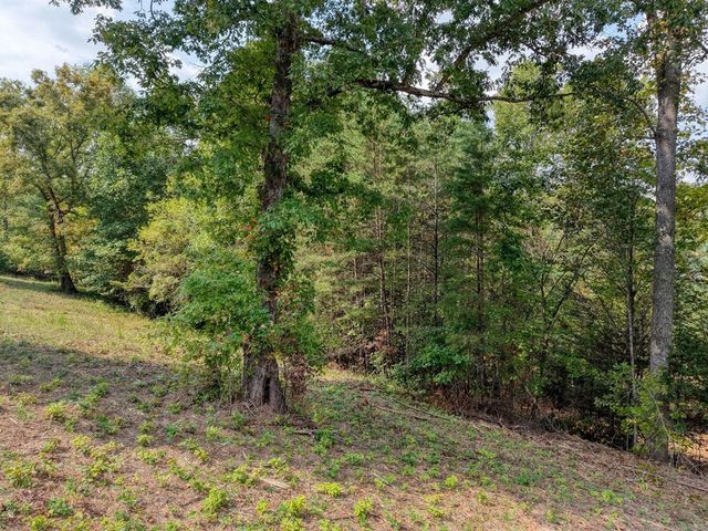 Lt 40 Pleasant Meadows, Blairsville, GA 30512