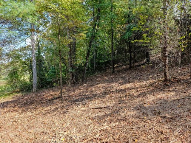 Lt 40 Pleasant Meadows, Blairsville, GA 30512