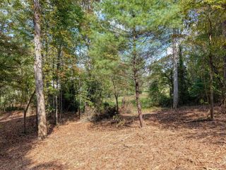 Lt 40 Pleasant Meadows, Blairsville, GA 30512