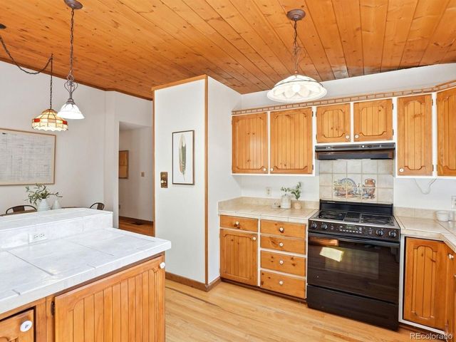 29 Blue Spruce Dr, Evergreen, CO 80439
