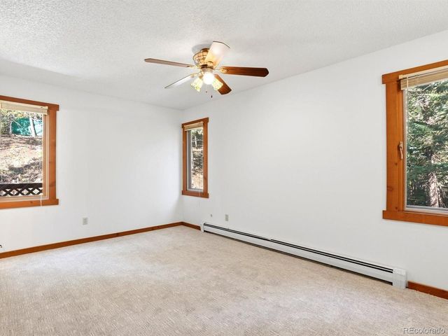 29 Blue Spruce Dr, Evergreen, CO 80439