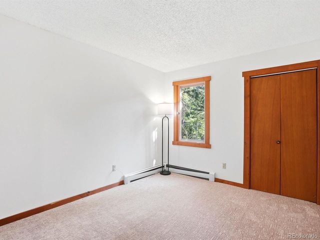29 Blue Spruce Dr, Evergreen, CO 80439
