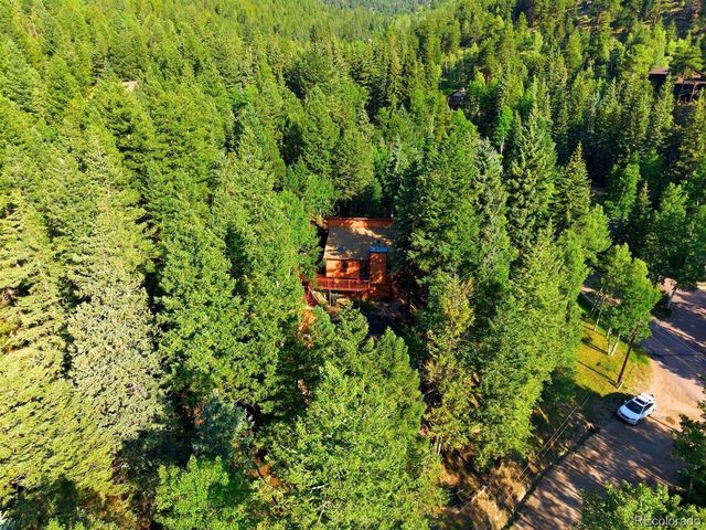 29 Blue Spruce Dr, Evergreen, CO 80439
